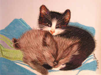 Howie & Harry - Pastel painting by Margo Kelley