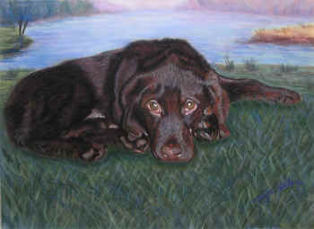 Jasper - Pastel painting by Margo Kelley