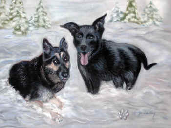 Kody & Ice - Pastel Painting by Margo Kelley