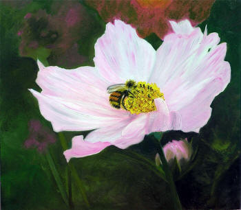 Pink Cosmos - oil on panel by Margo Kelley