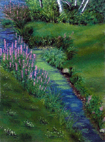 Birches & Fireweed - Pastel Painting by Margo Kelley