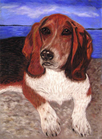 'Schubert' - Pastel painting by Margo Kelley