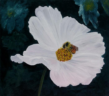 White Cosmos - oil on panel by Margo Kelley