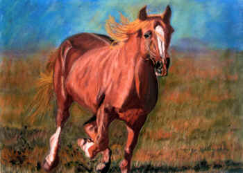 Running Free - Pastel painting by Margo Kelley